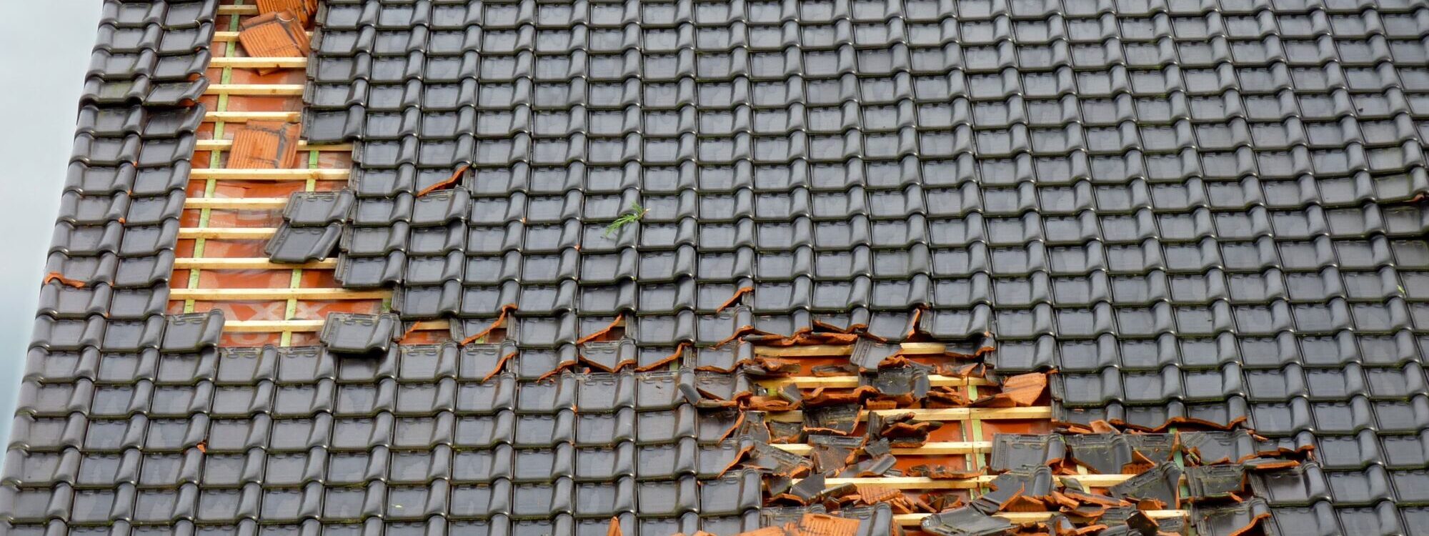 Comment choisir votre professionnel pour la r&eacute;novation de votre toiture ? S&eacute;lestat