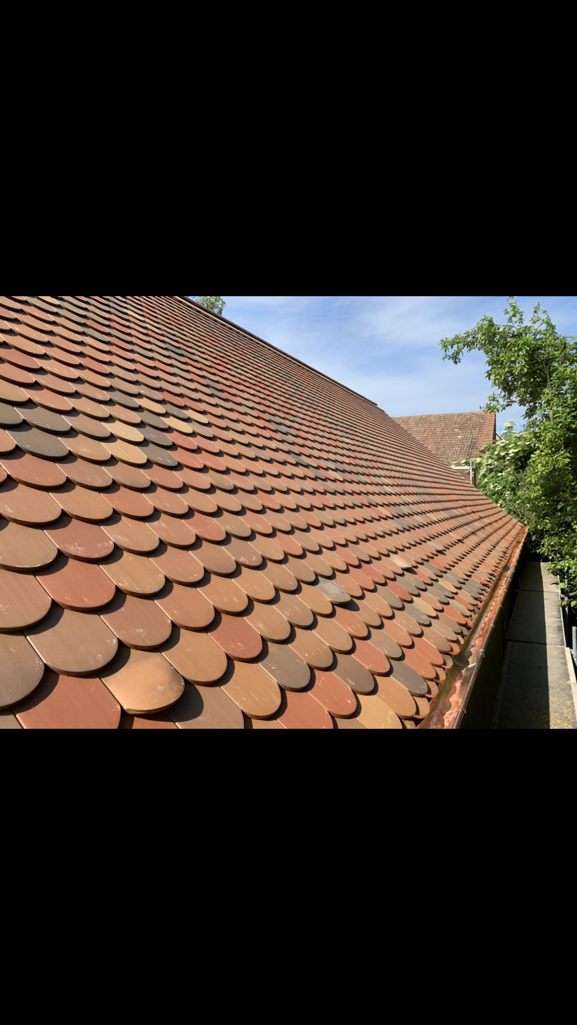 Comment prolonger la dur&eacute;e de vie de sa toiture en zinc ? Colmar